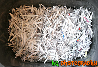 Shredded Paper