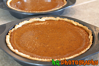 Pumpkin Pies