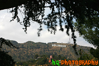 Hollywood Sign in Distance