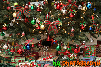 Christmas Presents Under Christmas Tree