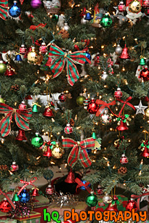 Christmas Tree Close Up