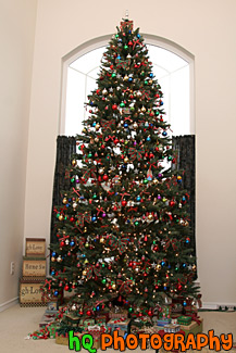 Decorated Christmas Tree