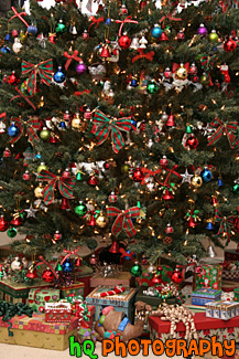 Christmas Tree & Decorations