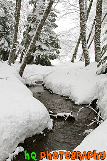 Water Creek Between Snow