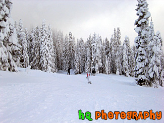 Snowboarder & Winter Snow