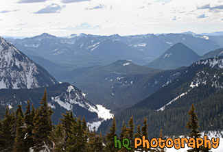 Evergreen Trees & Snowy Hills