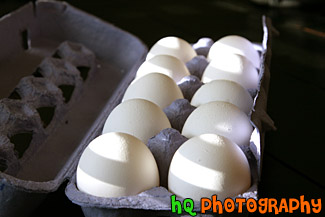 Eggs in a Carton