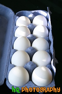 10 Eggs in a Carton