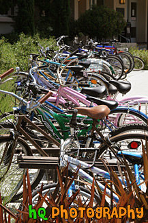 Line of Bikes at College