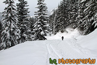 Man Snowshoeing Up Hill