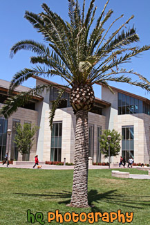 Learning Commons & Library