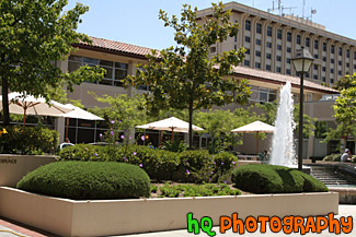 Outside Benson Dining Center