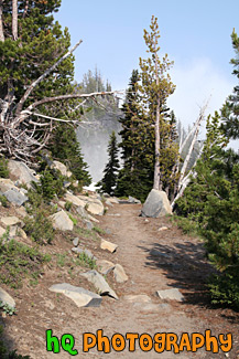 Hiking Trail in Mt. Rainier National Park