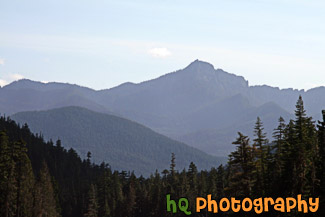 Hills of Mt. Rainier National Park