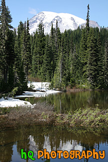 Reflection Lake, Trees, & Mt. Rainier