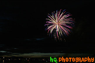 Sparkling Fireworks at Night