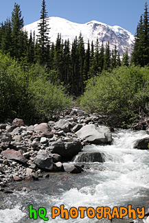 Mt. Rainier & River