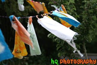 Rags on Clothes Line