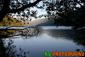 Lake Cresent & Silhouettes