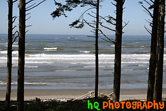 Ruby Beach Ocean Waves