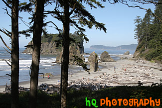 Looking Out at Ruby Beach