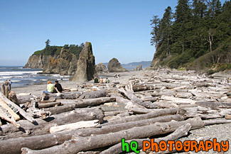 Logs & People on Ruby Beach