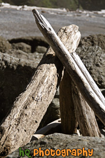 Drift Wood Stacked Up