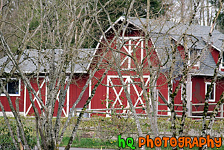 Barn Thourgh Tree Branches