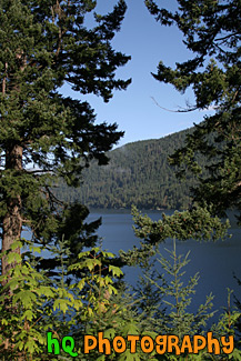 Lake Cresent and Trees