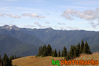 Olympic Mountain Hills & Field