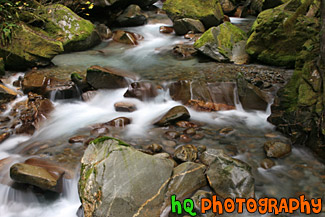 Ladder Creek & Rocks