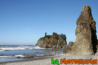 Ruby Beach Sea Stack Rocks