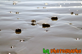 Rocks on Sand