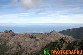 Olympic Peninsula