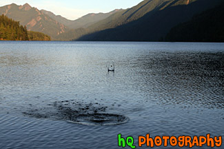 Rock Skipping in Lake