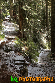 Switchback Hiking Trail