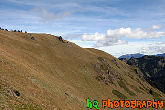 Hill in the Olympic Mountains