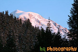 Red Mt. Rainier