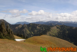 Olympic Mountain Hills & Scenic Sky