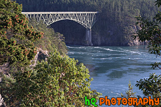 Deception Pass & Trees