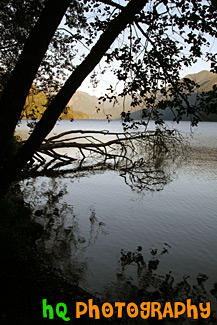 Trees & Silhouettes on Shore at Cresent Lake