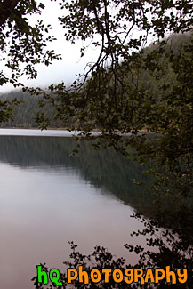 Hill Reflection & Tree Branches