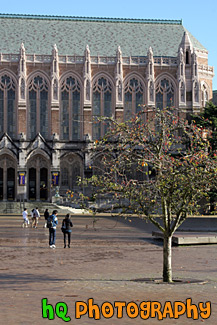 Suzzallo Library, Tree & Students