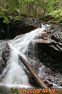 Waterfall & Log