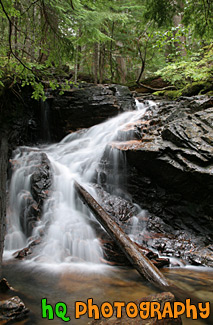 Waterfall, Green Trees, and Log