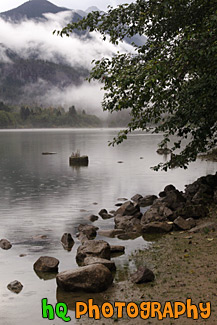 Rocks & Tree Along Diablo Lake