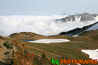 Fog Hovering over Mountains