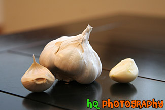 Garlic Head & Cloves