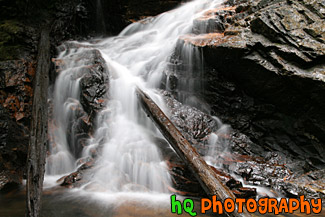 Waterfall and Logs Up Close