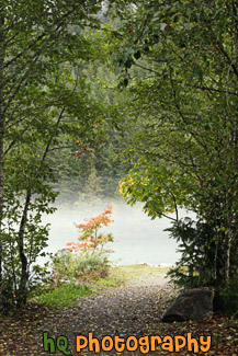 Trail Leading to Fog